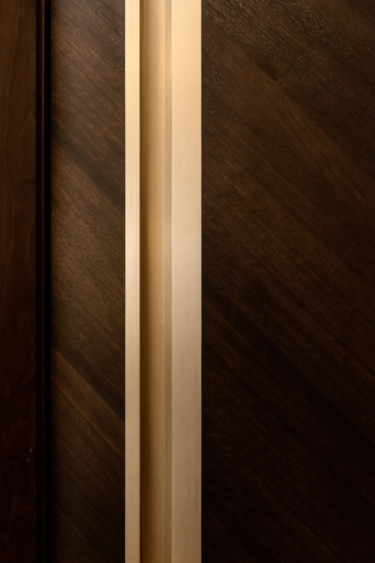 Tribune Tower's Portfolio image