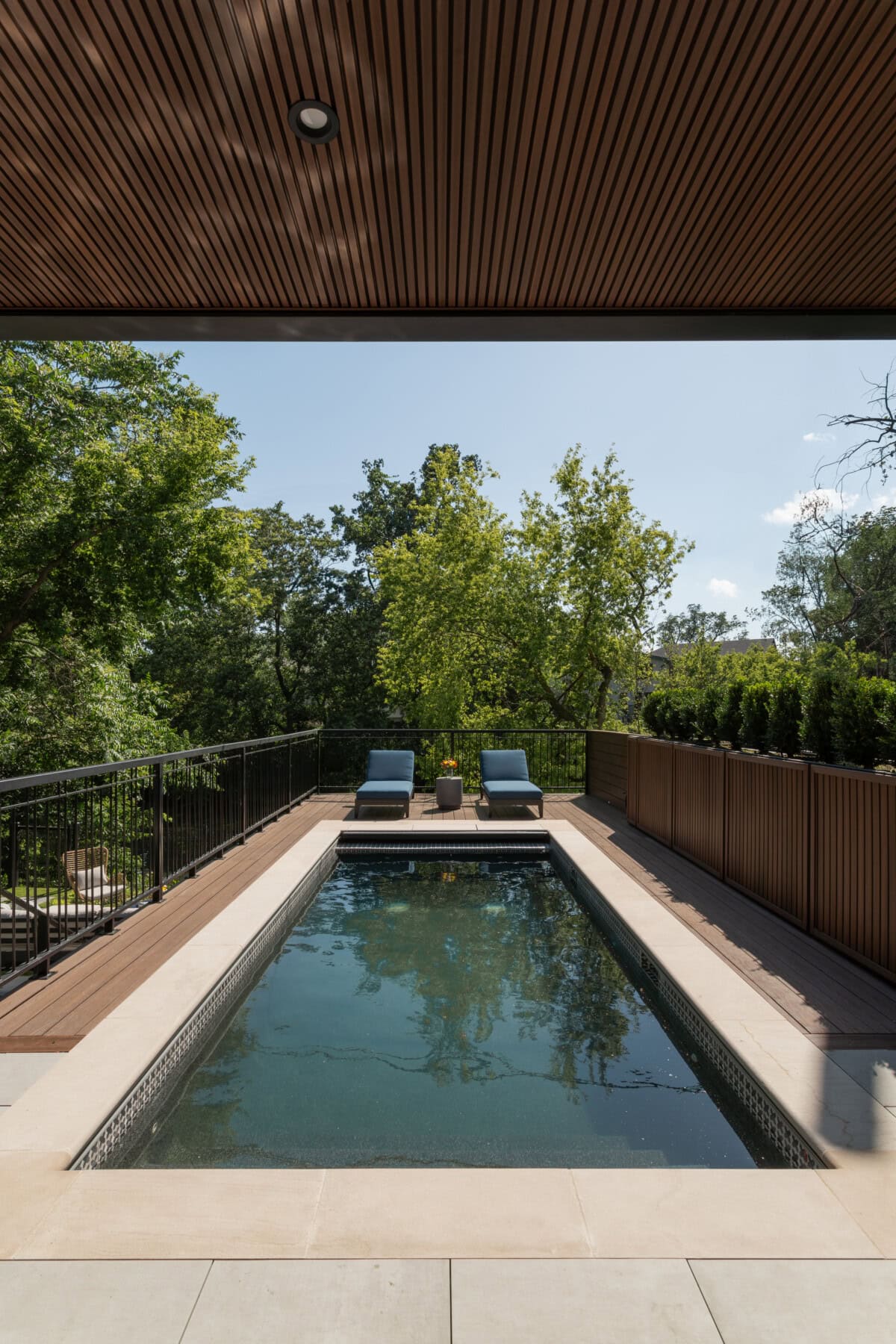 Virginia's Portfolio image